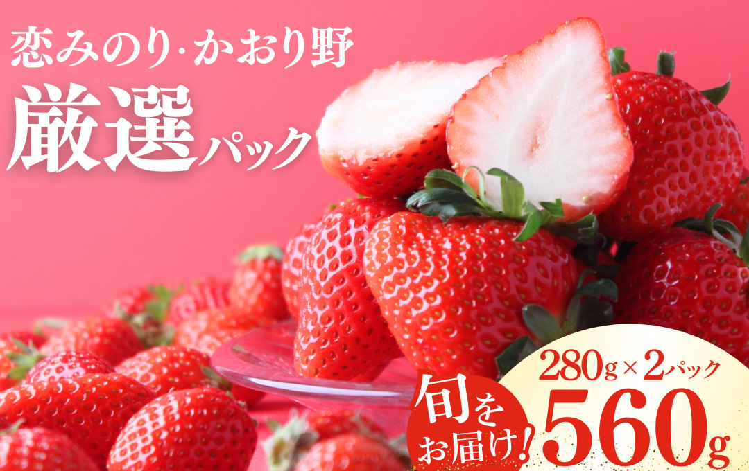 【先行予約＿2026年出荷分】完熟いちご280g 2パック（DXパック）恋みのり、かおり野 から厳選　【 苺 いちご イチゴ かおり野 恋みのり 産地直送 旬 果物 フルーツ くだもの 静岡県 伊豆 