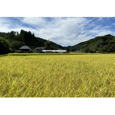 ふるさと納税 茨城県 令和7年産【特別栽培米】「コシヒカリ」&「ゆうだい21」食べ較べセット4kg(2kg×2袋) |  | 03