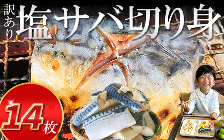 訳あり 塩 サバ 切り身 7切×2袋 (約1kg) 冷凍 鯖 塩 サバ 魚 さかな 海鮮 海産物 おかず 鯖ご飯 おすすめ 人気 鯖 魚 魚介