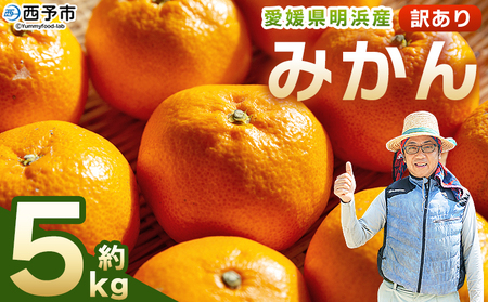先行予約＜明浜産 訳あり みかん 約5kg＞ 果物 くだもの フルーツ 蜜柑 みかん ミカン 柑橘 ワケアリ 家庭用 食べて応援 国産 愛媛県産 特産品 俵津農地ヘルパー組合 愛媛県 西予市【常温】『2025年11月から12月迄に順次出荷予定』 ATH0002