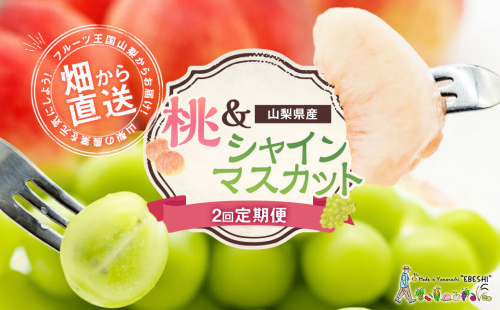 【期間限定発送】【旬の桃とシャインマスカットの2回定期便】令和7年 桃約2kg（5～6玉）、シャインマスカット約1.8kg（2～3房） [株式会社えべし 山梨県 中央市 21470869] ぶどう 桃 フルーツ 果物 くだもの ブドウ シャイン マスカット もも 葡萄 期間限定 季節限定