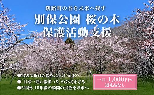 
                  【思いやり型返礼品】別保公園 の桜を雪害から復活させたい ＜返礼品なし＞｜「日本一遅い桜まつり」応援寄附（1口 1,000円〜） さくら 桜 桜の木 植樹 別保公園 桜の里 北海道 釧路町 釧路超 寄付 支援 応援 共感型sakura01
                