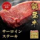 【ふるさと納税】選べる容量【和牛セレブ】能登牛 サーロインステーキ 1枚～4枚 牛肉 最高級 サーロイン ステーキ 黒毛和牛 能登牛 牛 イベント お祝い クリスマス お正月 誕生日 パーティー 石川県 加賀市 F6P-2117var