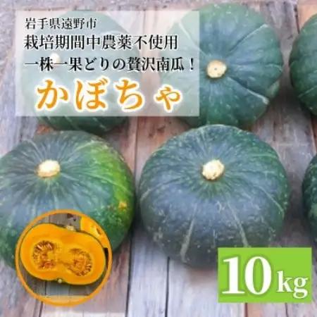 かぼちゃ(10kg)栽培期間中農薬不使用 甘い粉質系を凝縮 / 遠野もぐもぐカントリー 岩手県遠野市【1732217】