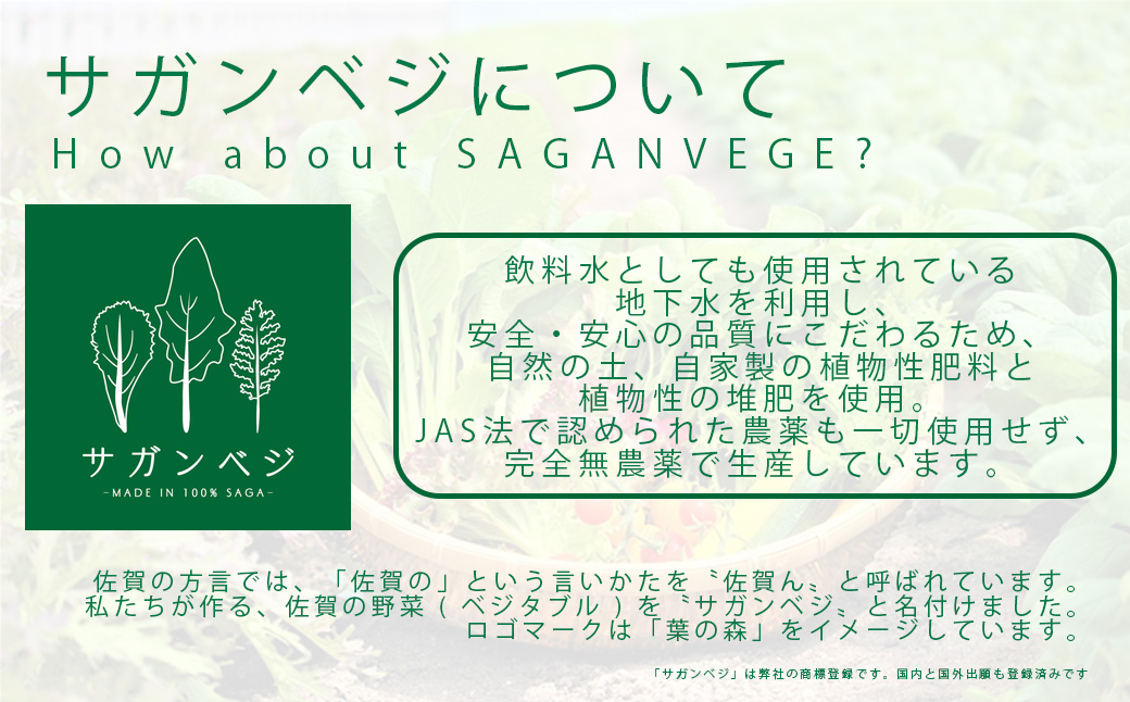CQ020_【定期便】オーガニック葉物野菜セット【植物性で育