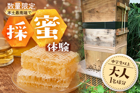 【期間限定】数量限定！『本土最南端で採蜜体験』大人1名（中学生以上）｜はちみつ 採蜜 体験 人気 養蜂 日本みつばち 自然 南大隅町 CC7001