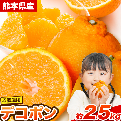 ご家庭用 デコポン デコポン約2.5kg前後(約6-12玉前後)《2026年2月上旬-4月末頃出荷》不知火 熊本県産 熊本県 長洲町 糖度13度以上