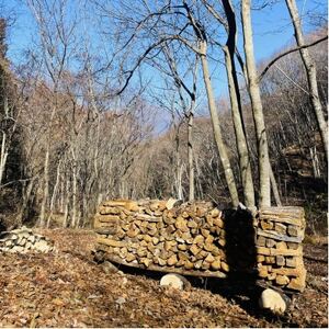 林業芸術社　2年乾燥薪(広葉樹約45cm /約10kg分/中割り～)御代田町面替【1702604】