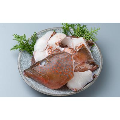 ふるさと納税 対馬市 【対馬産】アコウ(キジハタ)鍋セット500g |  | 02