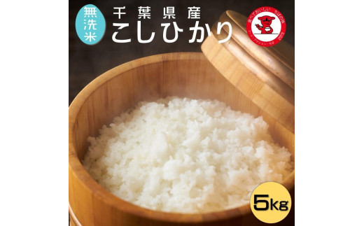 新米 令和6年産【無洗米】コシヒカリ 5kg 千葉県産こしひかり 米 白米 お米 おこめ ご飯 ごはん コシヒカリ 国産 千葉県産 お弁当 おにぎり 朝食 昼食 夕食 お取り寄せ グルメ 食品 災害 防災 ギフト 贈り物 贈答 プレゼント ふるさと納税 ふるさと納税米 送料無料 千葉県 銚子市 根本商店