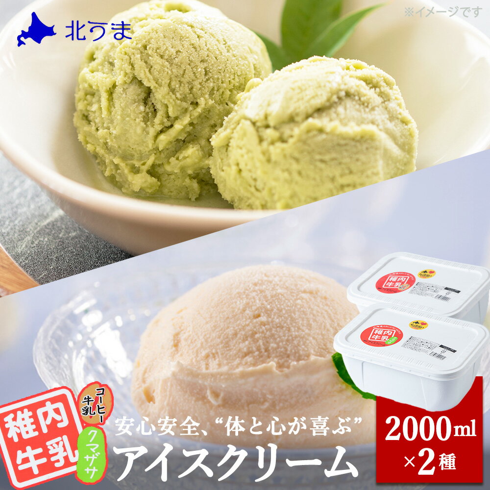 【ふるさと納税】【業務用】稚内牛乳アイスクリーム2000mクマザサ×コーヒー牛乳2個セットアイス アイスクリーム スイーツ デザート 氷菓 牛乳 北海道ふるさと納税 稚内 ふるさと納税 北海道 【配送不可地域：離島・沖縄県】