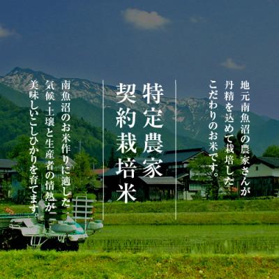 ふるさと納税 南魚沼市 【毎月定期便】雪温精法　南魚沼産こしひかり　2kg全6回 |  | 01