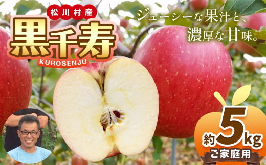 家庭用 黒千寿 約5kg 【2026年先行予約】 ｜ 北條農園 果物類 林檎 りんご リンゴ 黒千寿 大きい 甘い 日持ち 家庭用 長野県 松川村 まつかわ 長野 信州