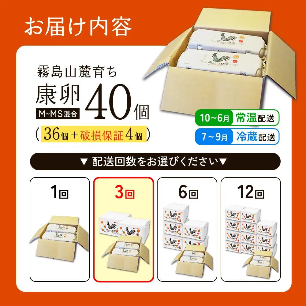卵【3回 定期便】霧島山麓育ち こだわり卵 康卵 計40個（36個 + 割れ保証4個）3回 計 120個(108個 + 割れ保証 12個) )たまご 玉子 卵焼き 玉子焼き たまご焼き 生卵 鶏卵 た