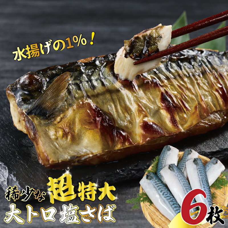 【ふるさと納税】 超特大 ！ 大トロ 塩さば 6枚 特大 大きい 塩鯖 さば 鯖 幻 稀少 希少 大サイズ 肉 厚 極上 フィレ フィーレ 切身 切り身 カット 国内加工 霜降り トロ 冷凍 魚 水産 海産 青魚 魚貝 魚貝類 魚介 魚介類 海鮮 おかず 和食 ご飯 焼き鯖 メガ メガサイズ