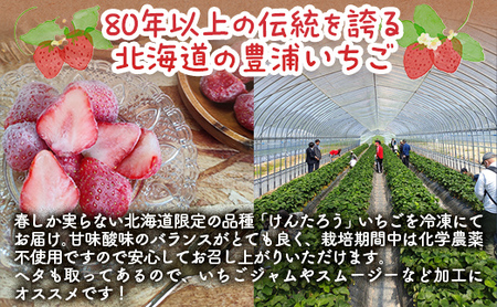 【2025.4月以降順次出荷】豊浦いちご  冷凍いちご 2kg 【 ふるさと納税 人気 おすすめ ランキング 果物 いちご苺 イチゴ 国産いちご 国産苺 けんたろう セット おいしい 美味しい 北海道
