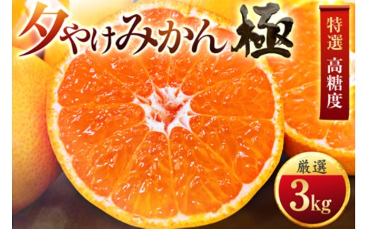 ＜甘みが濃縮されたみかん＞愛媛で育った夕やけみかん＜極＞3kg＜C49-25＞_ みかん 蜜柑 ミカン 愛媛みかん 愛媛 国産 箱 送料無料 農家直送 産地直送 柑橘 かんきつ 温州みかん 旬 フルーツ 果物 くだもの【1508877】 YWTZ017