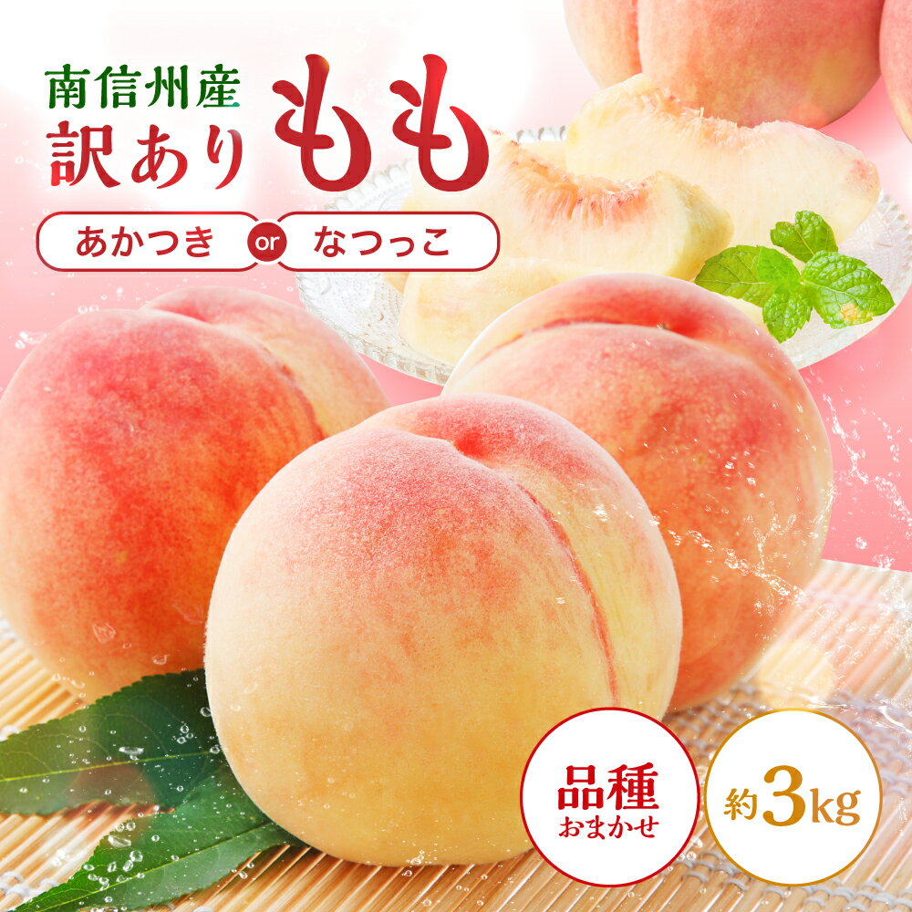 【ふるさと納税】南信州産 訳あり 桃 約3kg【2026年先行予約】 | あかつき なつっこ 果物 フルーツ 果実 桃 もも 完熟桃 訳あり わけあり 長野県 飯田市 信州