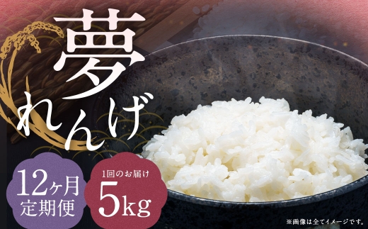 【12ヶ月定期便】 特別栽培米 夢れんげ 精米 5kg×1袋 合計60kg