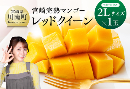 【令和7年発送】宮崎県産完熟マンゴー 「レッドクイーン」2L×1玉 【 果物 フルーツ マンゴー 宮崎県産 完熟マンゴー みやざきマンゴー 先行予約 数量限定 期間限定 】