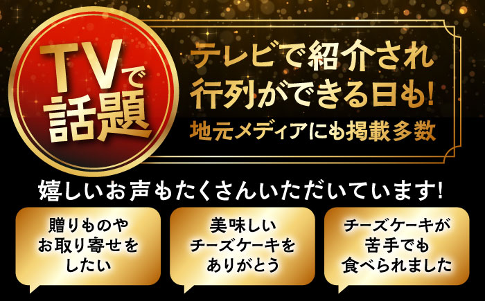 みっちゃんの手作りチーズケーキ ホール3個【横須賀商工会議所 おもてなしギフト事務局（みっちゃんの手作りチーズケーキ）】 [AKBH003]