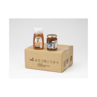 ふるさと納税 恵那市 恵那蜂蜜2本セット(蓮華蜂蜜300g1本、栗蜂蜜180g1本)
