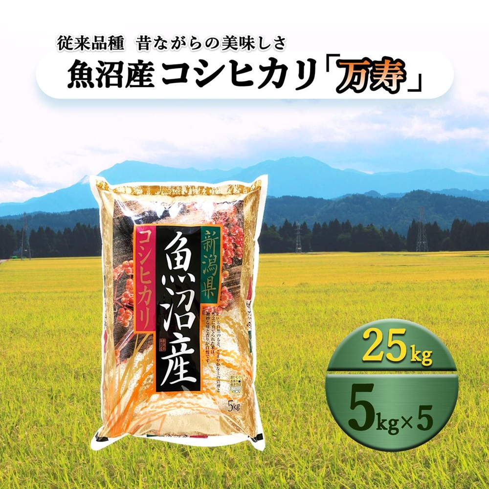 数量限定 従来品種 魚沼産コシヒカリ 精米 5kg×5