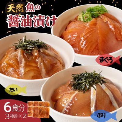 ふるさと納税 下関市 漬け丼 セット 計 6食分 冷凍 マグロ タイ ブリ 詰め合わせ 刺身 海鮮 EY036