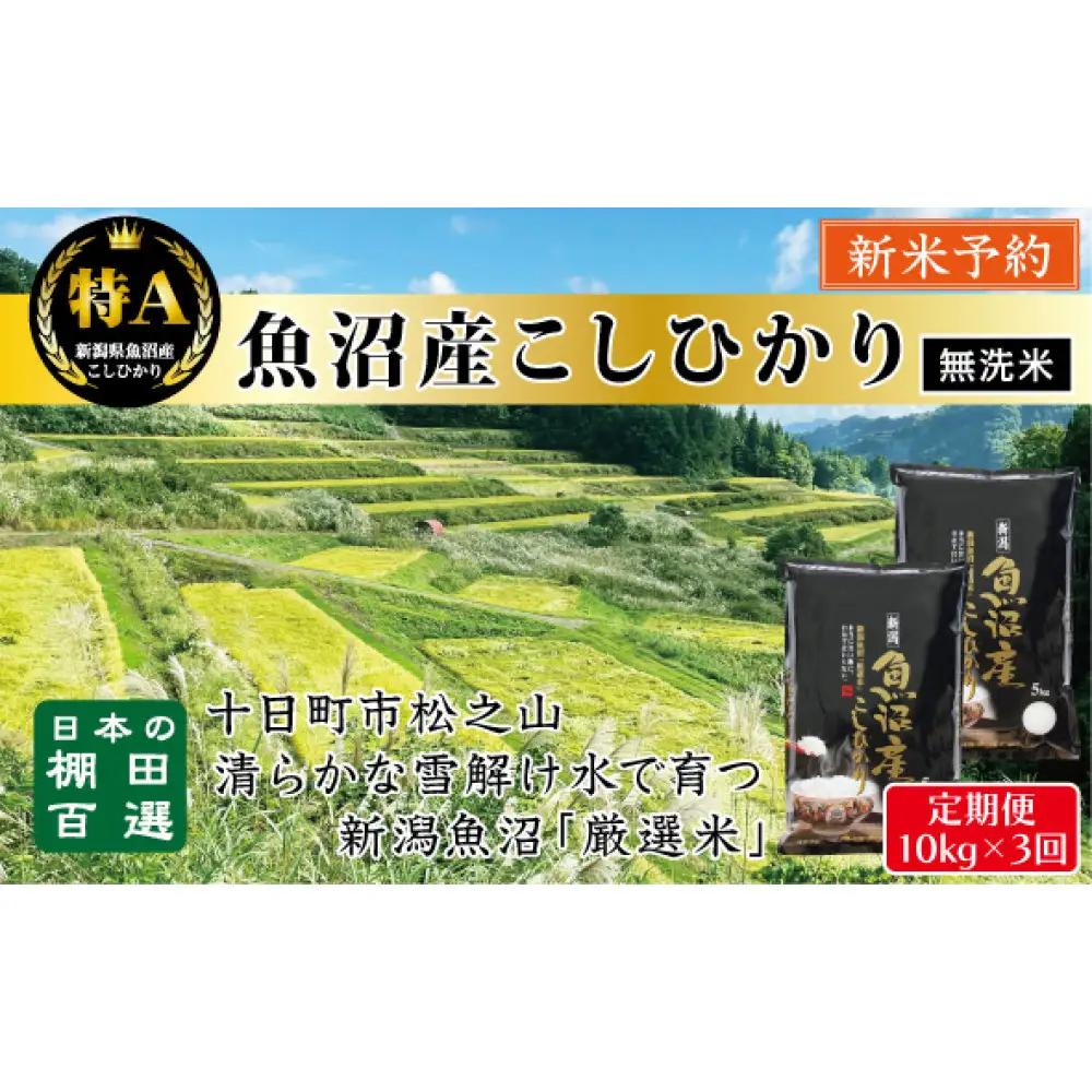 【無洗米】【令和8年産新米予約】【3か月定期便】10月発送開始《食味鑑定士厳選》日本棚田百選・十日町（魚沼）産こしひかり 10kg全3回