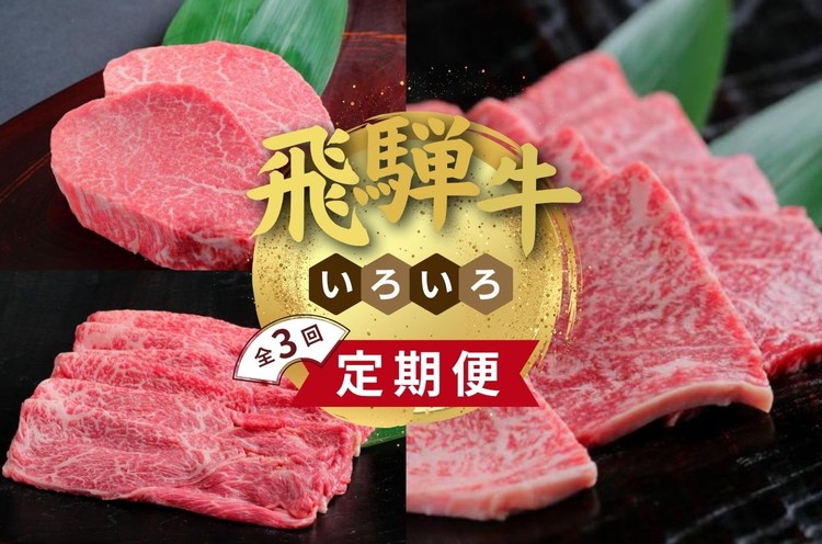 
                  【チョイス限定】【定期便】飛騨牛いろいろ定期便 3ヶ月Bセット | 牛肉 セット 牛肉セット 限定 食べ比べ アソート 国産 和牛 ブランド牛 飛騨 牛肉ギフト 飛騨牛ギフト 飛騨牛赤身すきやき 牛肉赤身  飛騨牛しゃぶしゃぶ 赤身飛騨牛 飛騨牛 牛肉 すきやき しゃぶしゃぶ 赤身 飛騨牛赤身 飛騨牛すき焼き 飛騨牛スキヤキ 牛肉すきやき すき焼き すき焼き用 しゃぶしゃぶ用
                