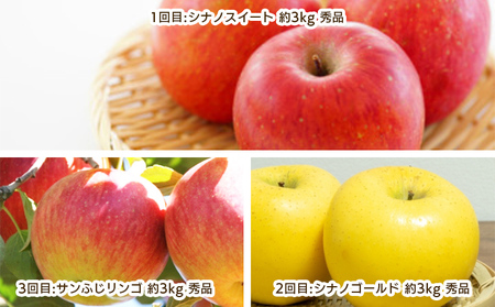 【定期便3回】りんご好きのためのやまがたりんご定期便【令和8年産先行予約】FS25-749