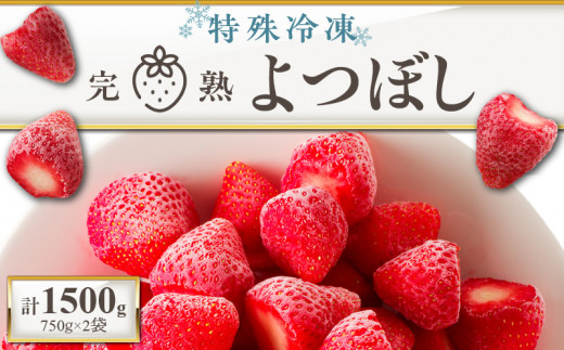 
                  旬のおいしさそのまま！池田農園の特殊冷凍よつぼし1.5kg_いちご 特殊冷凍 よつぼし 1.5kg 750g × 2 旬 美味しい 完熟 甘い 濃厚 アートロックフリーザー サクサク 食感 栄養 池田農園 フルーツ スムージー おやつ スイーツ 冷凍 お取り寄せ お取り寄せフルーツ 食べ物 福岡県 久留米市 送料無料_Fi212
                