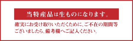 ふるーつ物語「越冬完熟みかん」約3kg（30～50個入り）_M02-0031