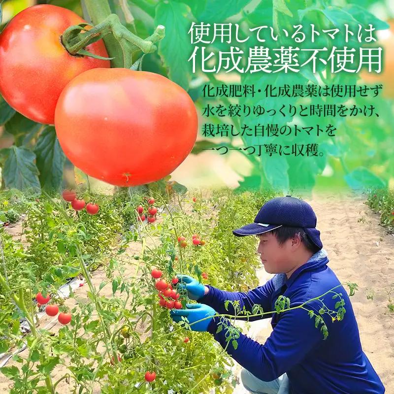 【ヴィーガン認証】窪畑トマトのカレーソース　甘口（180g×5 個）　K-747　株式会社山本組