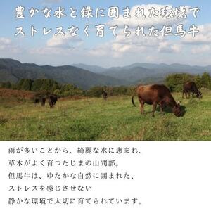 但馬牛　焼肉用(霜降り部位) 1kg【配送不可地域：離島】【1615691】