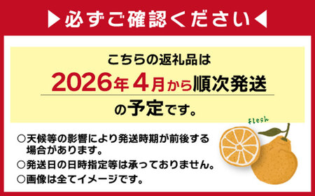 こだわり農家の 秀品 不知火 18玉  蜜柑 みかん ミカン 果物 フルーツ ギフト 贈り物 プレゼント 柑橘 くだもの 【2025年4月上旬より発送開始予定】