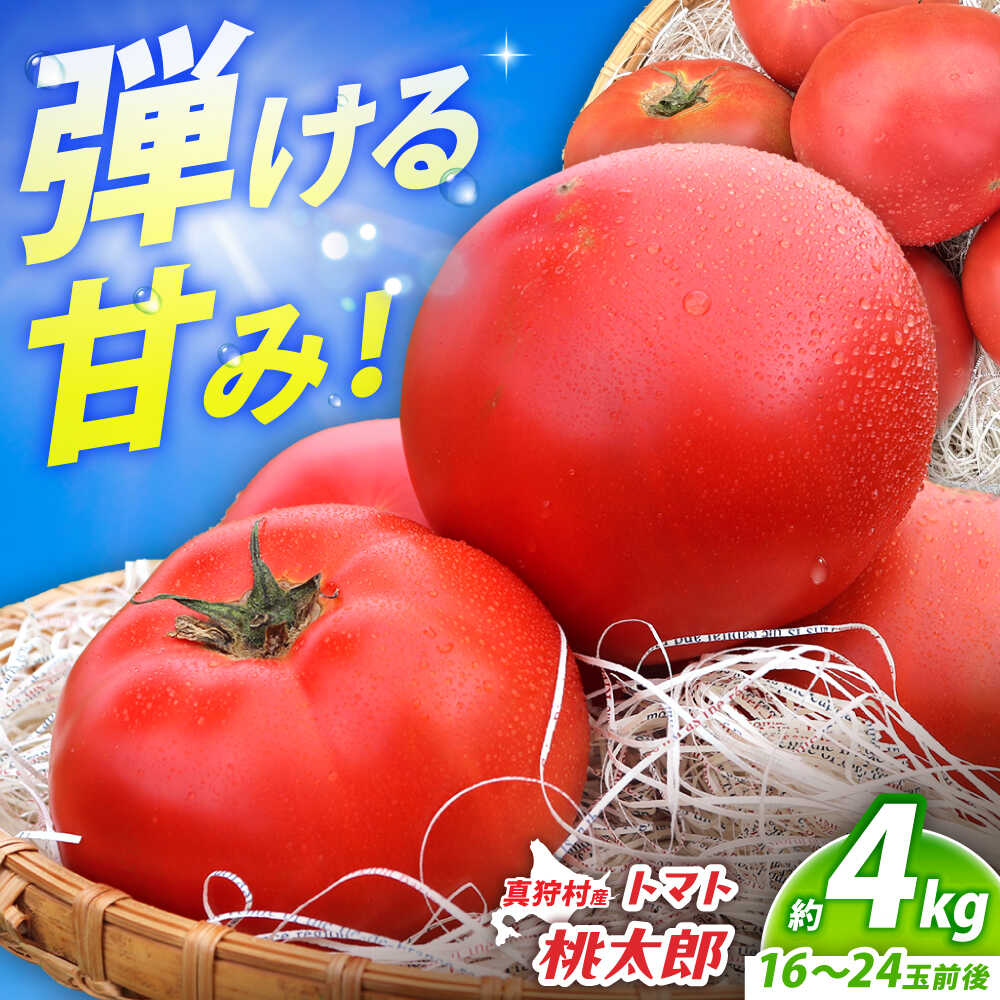 【ふるさと納税】【2026年7月中旬以降順次発送】 トマト 4kg | 野菜 トマト とまと やさい 北海道 産地直送 | 道の駅 真狩フラワーセンター[BPAM078]
