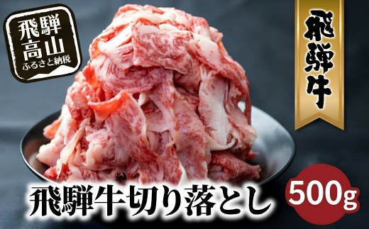 飛騨牛 訳あり 切り落とし500g  | 牛肉 肉 訳あり 切落し すき焼き 高山市 不揃い 黒毛和牛 冷凍 人気 国産 薄切り 部位 お取り寄せ グルメ 高評価 レビュー 株式会社丸明 LR011VC13