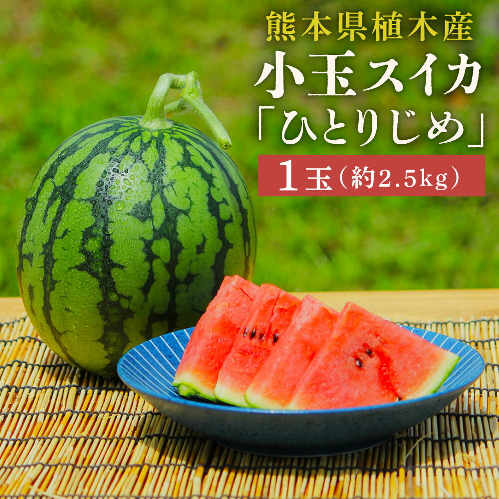 【ふるさと納税】 【上村農園】 小玉すいか 約2.5kg 1玉 ひとりじめ 【2026年4月上旬～4月下旬迄順次発送予定】 春スイカ 植木 スイカ 西瓜 果物 くだもの フルーツ おやつ 熊本県産 国産 常温 送料無料 熊本県 熊本市