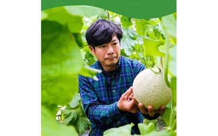 《6ヶ月定期便》高知県産 最高級マスクメロン（ご贈答・ギフト用）1玉入 【発送期間：4月～12月（9カ月）】【1月～3月は気候温度不安定の為出荷不可となります。】〈南国市共通返礼品〉