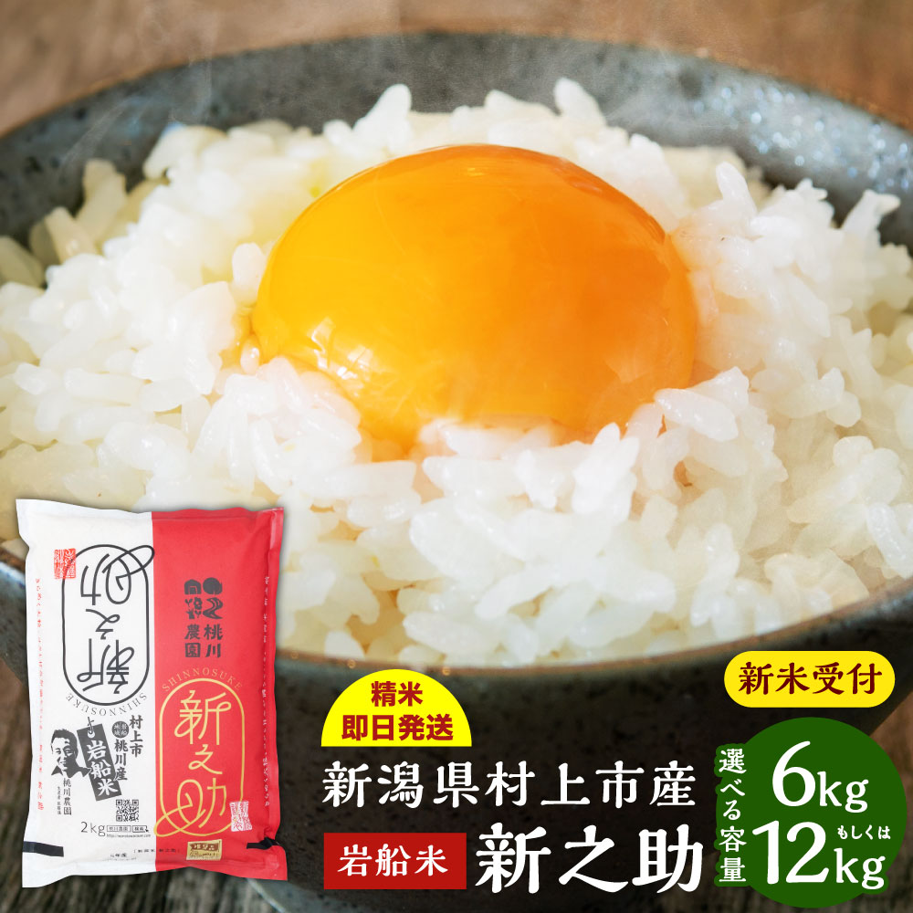 【ふるさと納税】【新米受付・令和7年産米】新潟県 村上市産 新之助 【選べる容量】 合計 6kg もしくは 12kg 米 精米 白米 ご飯 ごはん NA4100 NB4073