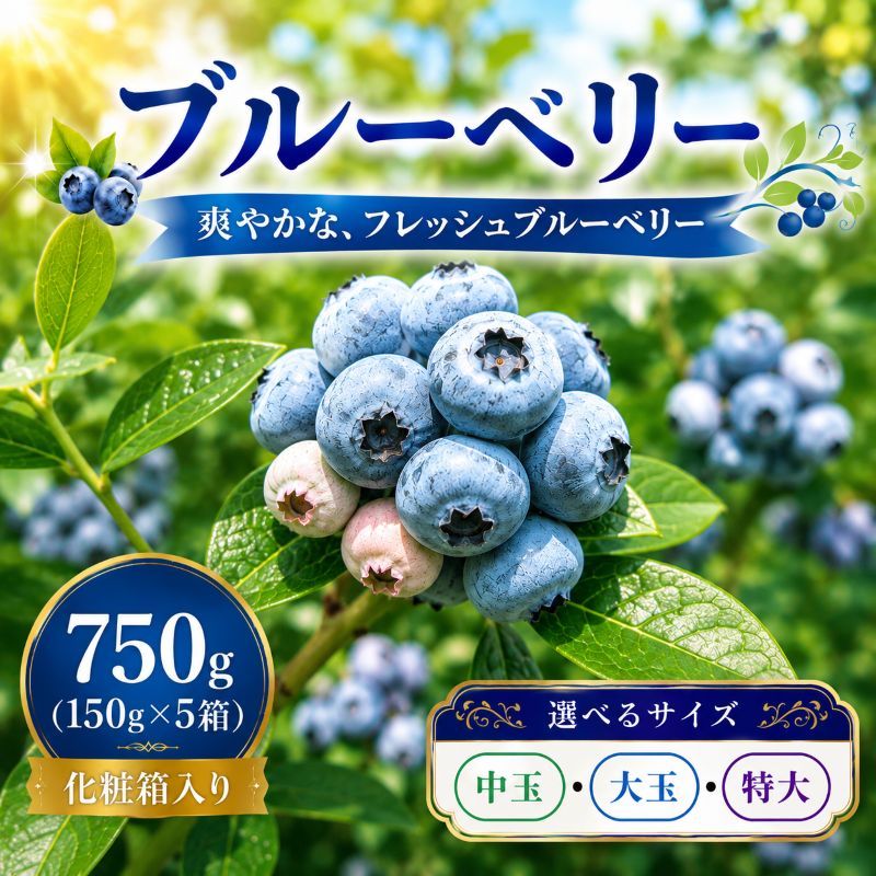 【ふるさと納税】 ブルーベリー 中玉 大玉 特大 750g(150g×5) 冷蔵 詰め合わせ 7月発送 大粒 果汁 人気 果物類 ブルーベリー フルーツ ベリー 国産 産地直送 お取り寄せ 贈り物 贈答 ギフト お中元 贈答用 岩手県 盛岡市 東北 岩手 盛岡 北田りんご園 kitada002P