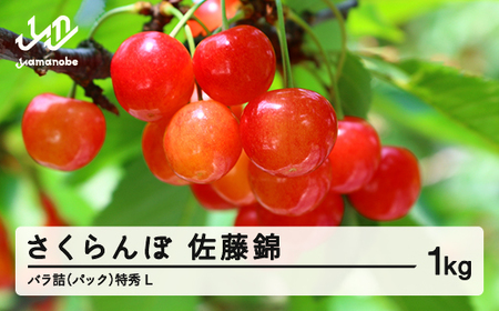 《先行予約》2025年 山形県産 さくらんぼ 佐藤錦 バラ詰（パック） 1kg 特秀 L サクランボ フルーツ F21A-328