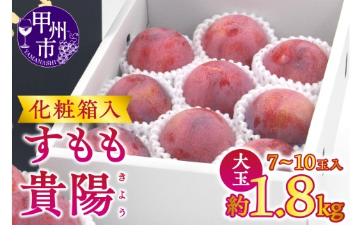 【宿沢フルーツ農園】すもも『貴陽』約1.8kg 化粧箱大玉（7～10玉）【2026年発送】（SF）B15-141【貴陽 すもも スモモ 桃 もも モモ 令和8年発送 期間限定 山梨県産 甲州市 フルーツ 果物】