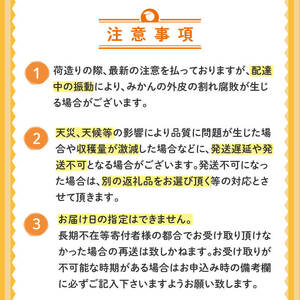 浦ノ内特産 土佐文旦 10kg 優品 2L ･ 3L 混合 | みかん 蜜柑 柑橘 文旦 大玉 10キロ 明神果樹園 人気 ランキング 数量限定 期間限定 高知県 須崎市 MKJ006_x