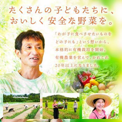 ふるさと納税 京丹後市 【先行予約】5月より順次発送《てんとうむしばたけ》初夏のオーガニック野菜セット　有機野菜6〜7種前後 |  | 02