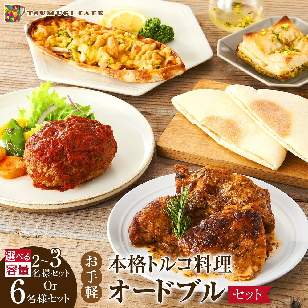 【ふるさと納税】【選べる容量】本格トルコ料理 オードブル 2～3名セット または 6名セット ケバブチキンステーキ ハンバーグ ピザ 焼き菓子 肉料理 鶏肉 | 白浜町 トルコ料理 オードブルセット ケバブ チキンステーキ 惣菜セット ホームパーティー ギフト ふるさと納税