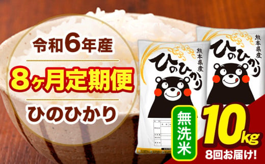 令和6年産 【8ヶ月定期便】  無洗米 米 ひのひかり 10kg《お申し込み月の翌月から出荷開始》熊本県 大津町 国産 熊本県産 無洗米 送料無料 ヒノヒカリ こめ お米