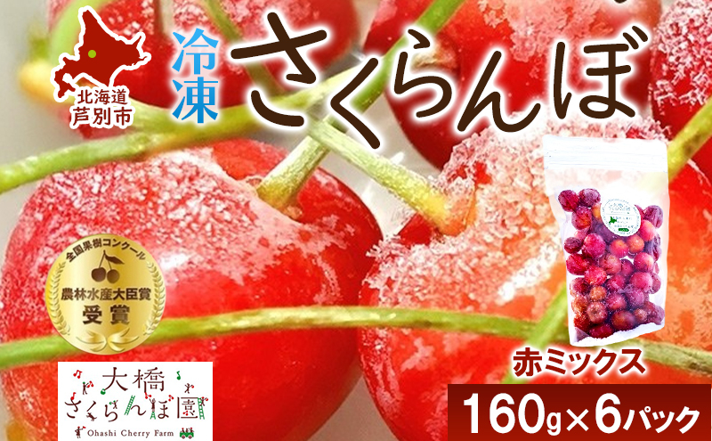 
            冷凍 さくらんぼ 160g × 6パック 赤ミックス 大橋さくらんぼ園 サクランボ チェリー 果物 果物類 フルーツ デザート 完熟 急速冷凍 新鮮 美味しい 人気 冷凍配送 北海道 芦別市 [№5342-0715]
          