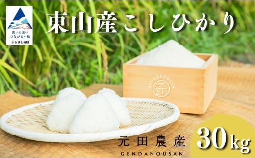 【先行予約】令和8年産コシヒカリ 精米 30kg お米 白米 小松市 石川県 こしひかり【元田農産】